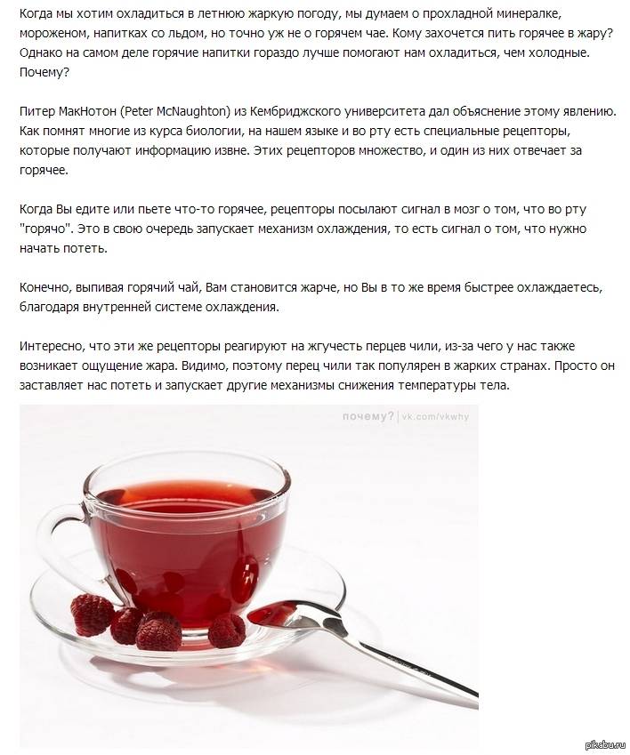Можно ли перед сдачей анализа крови выпить чай