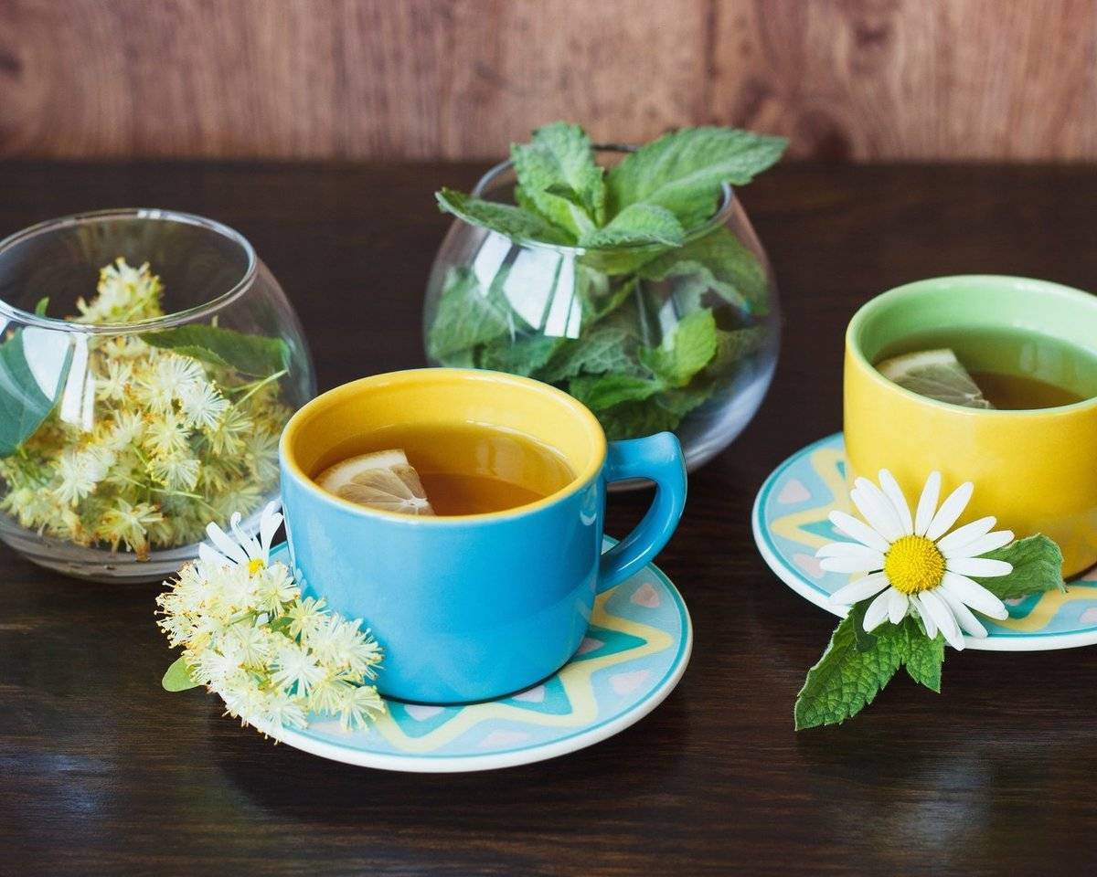 Чай из мяты лечебные свойства и противопоказания, польза и вред при беременности