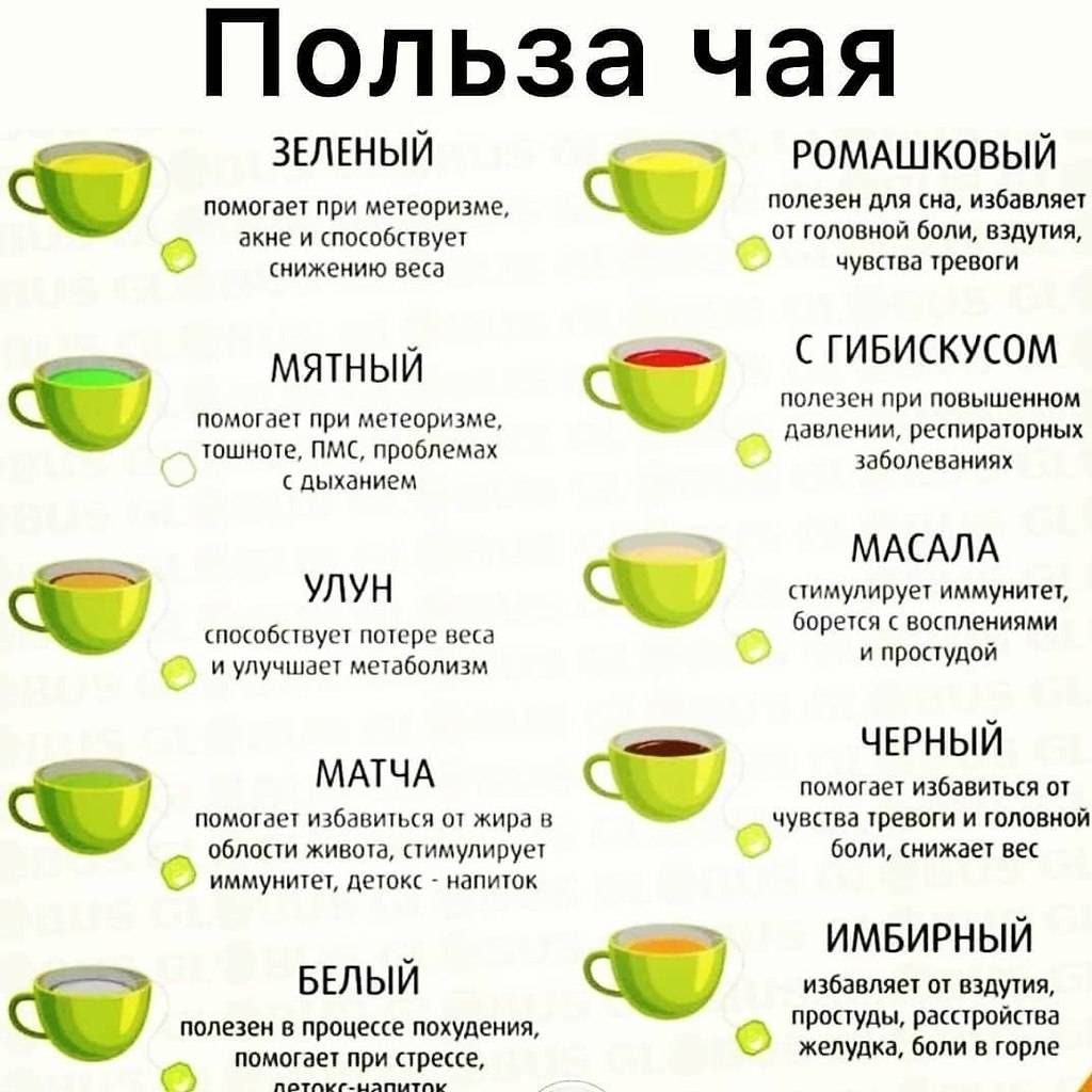 Какой чай и чем полезен для здоровья?