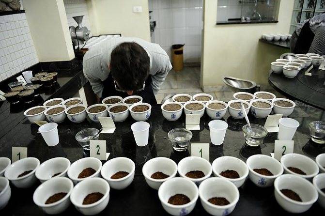 Каппинг (профессиональная дегустация кофе) – методика оценки