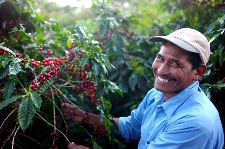 Описание кофе Гватемала