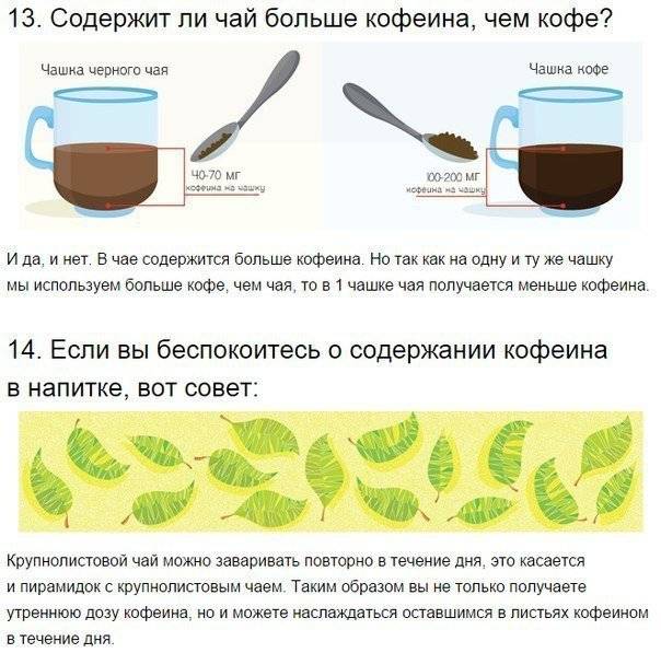 От эспрессо до колд брю: шпаргалка по кофейным напиткам