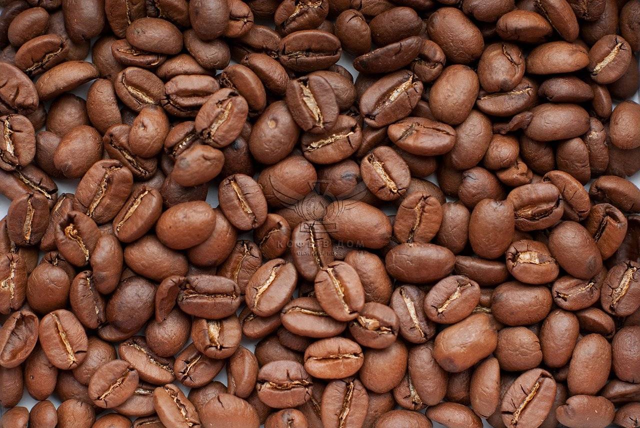 Все виды кофе с названиями и описанием, способы приготовления кофейных напитков
