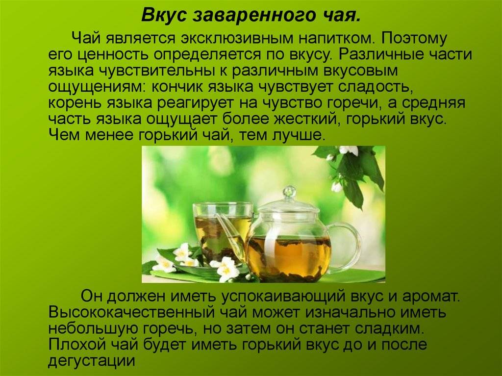 Как правильно заваривать зеленый чай, как пить, польза и вред