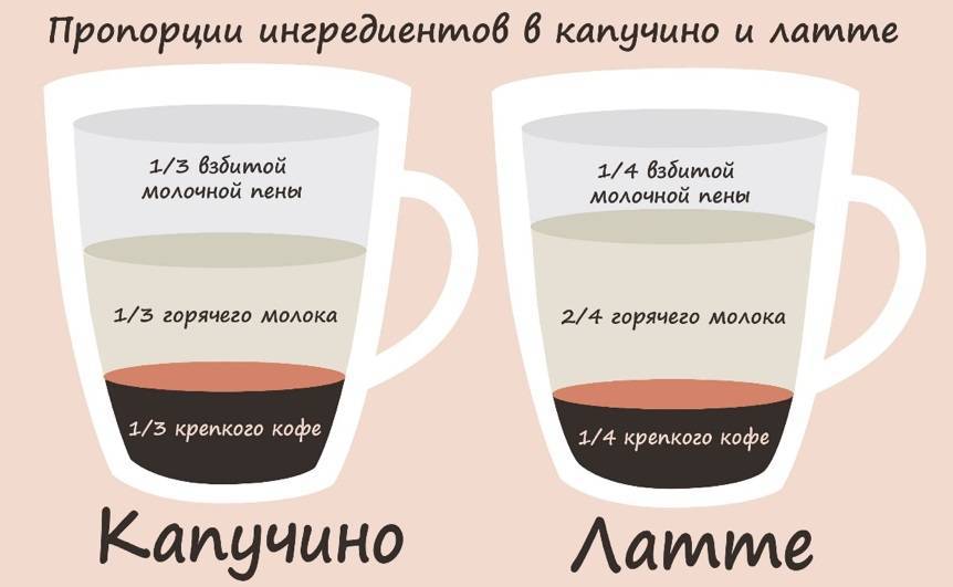 В чём отличия между популярными видами кофе? эспрессо, капучино, латте и другие