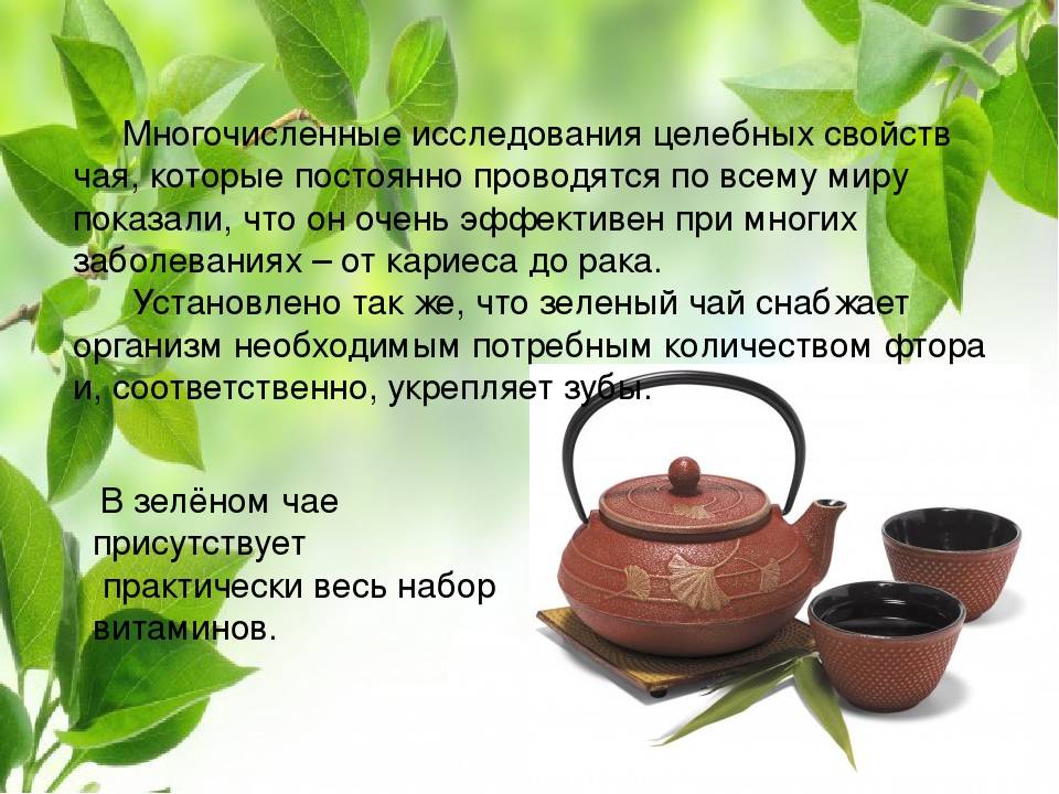 Как правильно заваривать зеленый чай сенча (+полезные свойства)