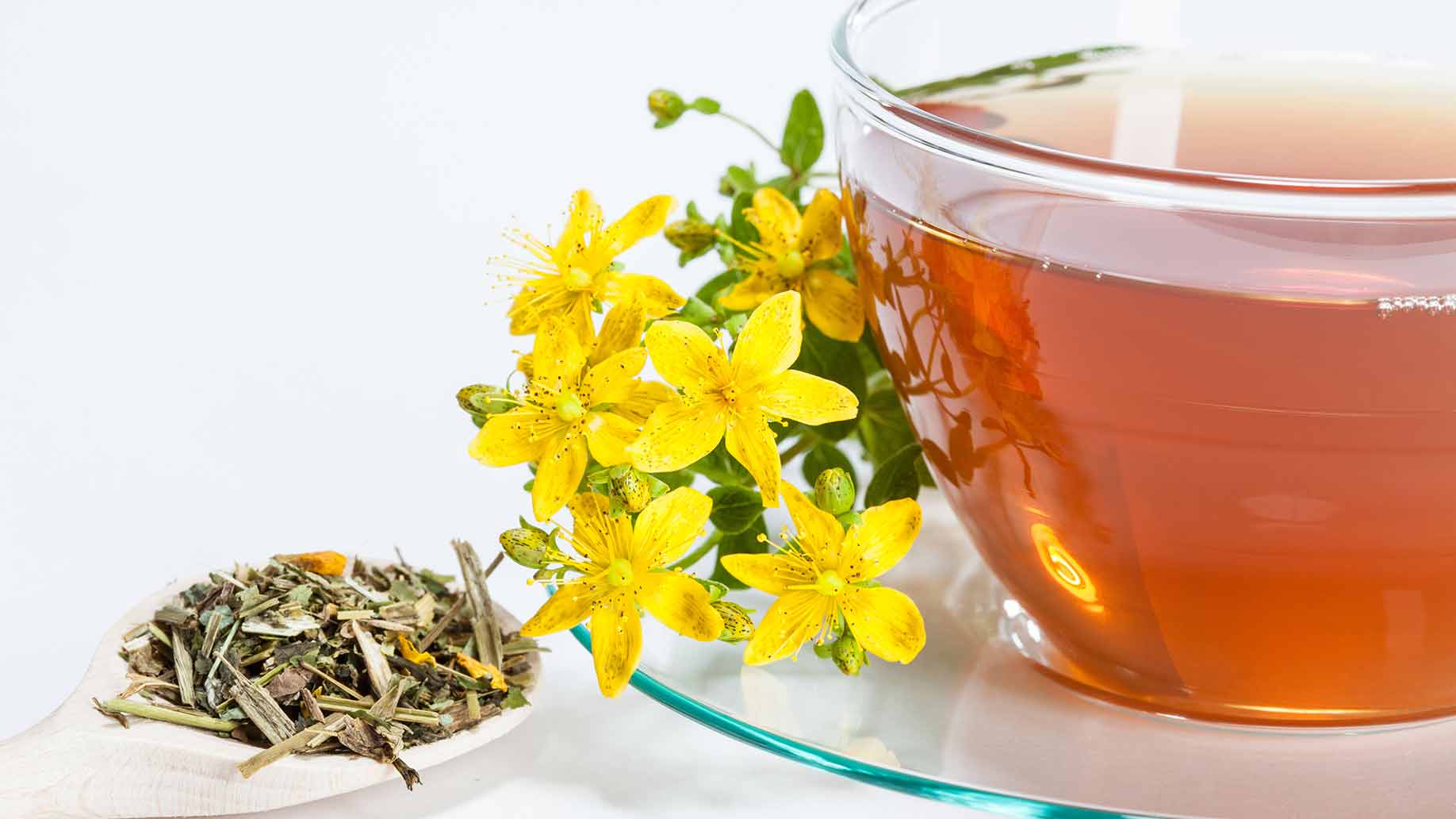 Польза и вред чая с ромашкой для организма мужчин и женщин