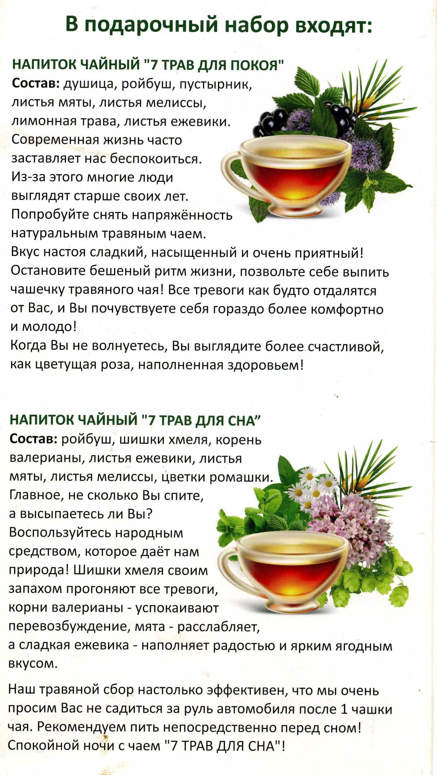 Как заваривать чай с душицей? его полезные свойства