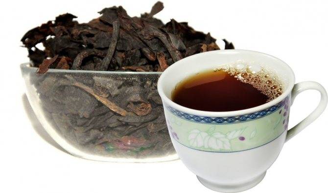 Полезные свойства чая из бадана