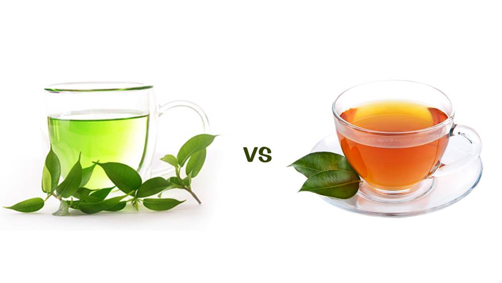Чем отличается зеленый чай от черного, польза каждого из них