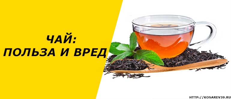 Зеленый чай: польза и вред, использование для похудения