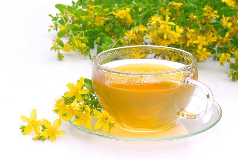 Чай из зверобоя польза и вред организму