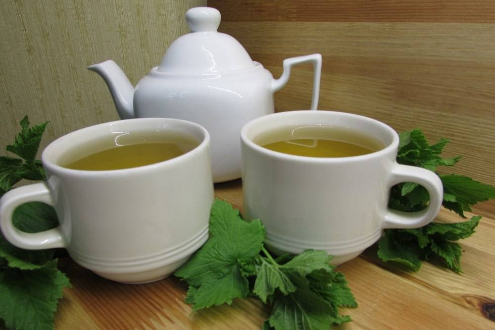 Чай из листьев смородины — польза и вред