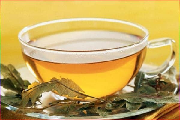 Желтый египетский чай хельба: пользезные свойства, как заваривать