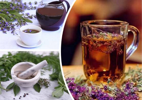 Липовый чай: польза и вред, особенности, сбор и заваривание