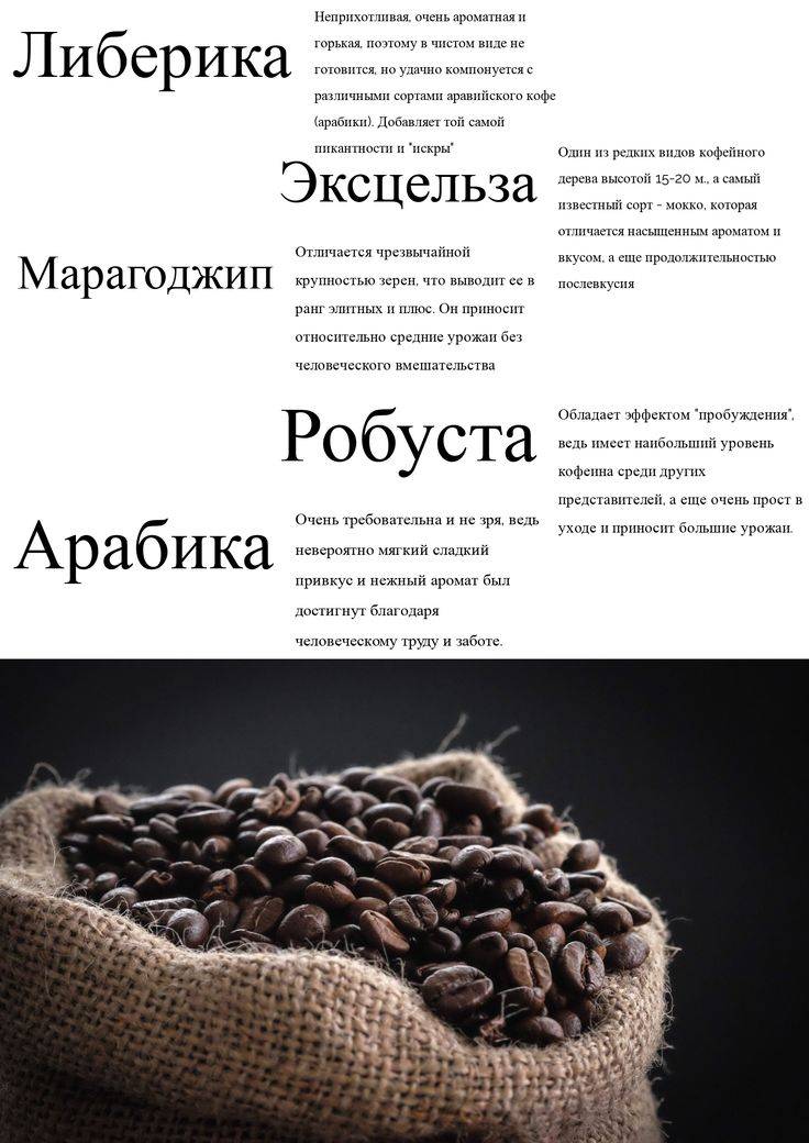 ☕️ лучшие сорта кофе: описание и отличия