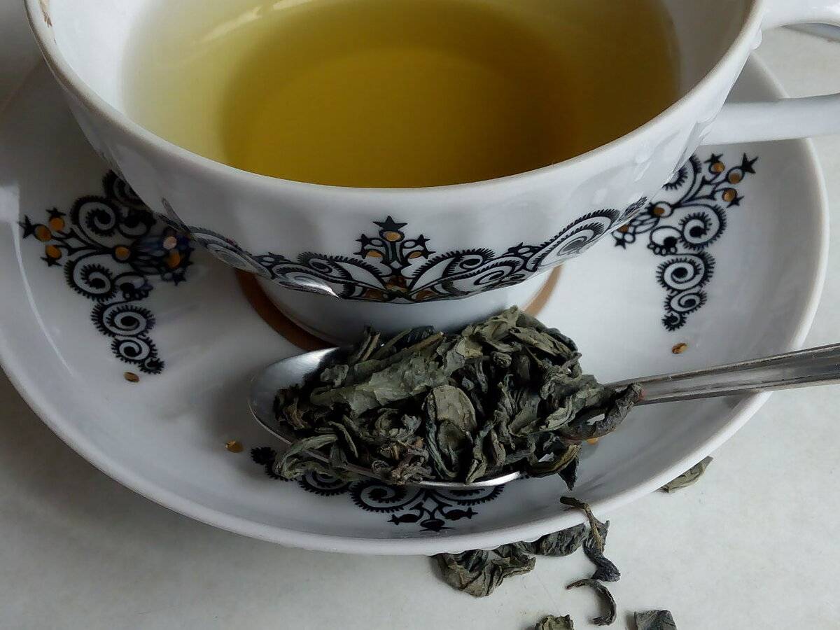 Чай кудин: полезные свойства, как заваривать