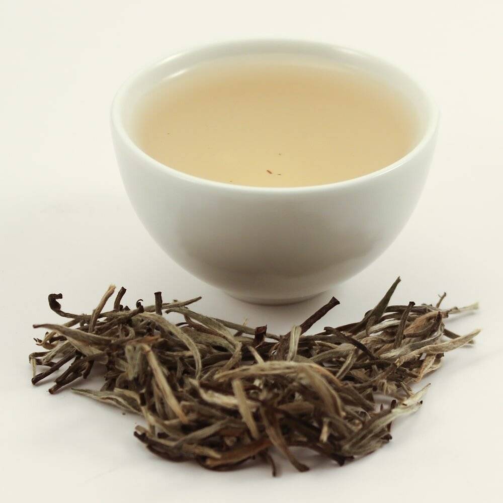 Описание и свойства белого чая с технологией заваривания