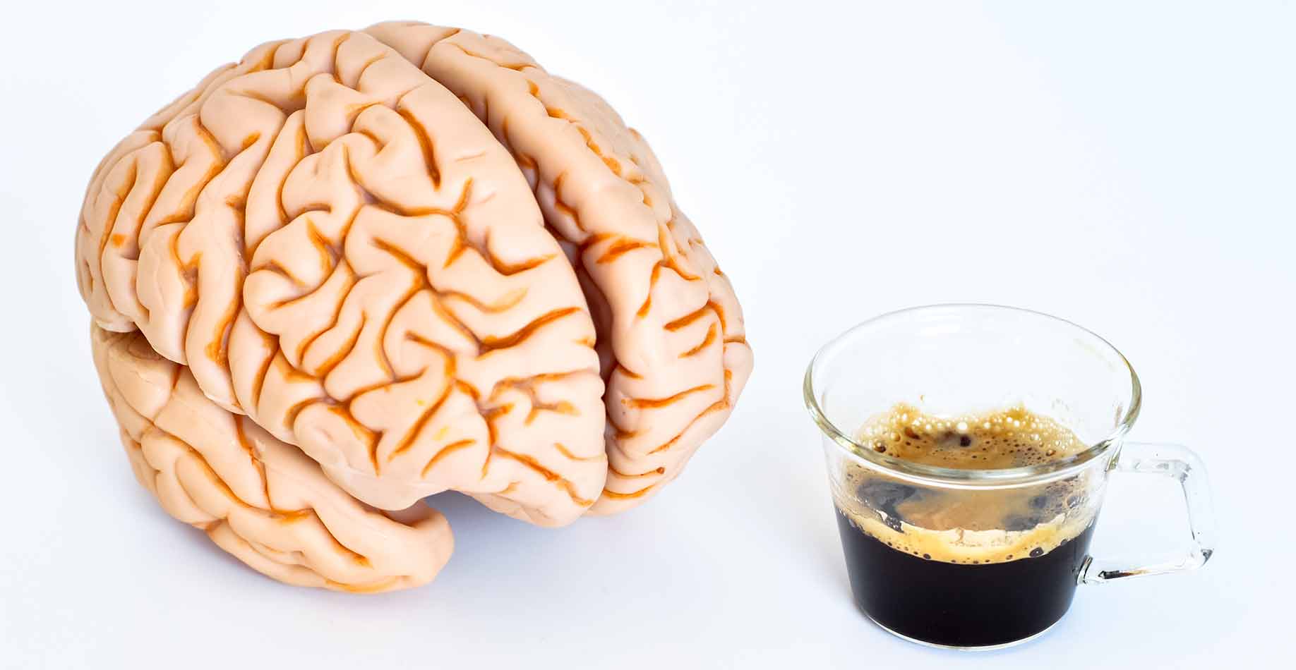 Продукты для улучшения работы головного мозга и памяти: какие продукты питания полезны