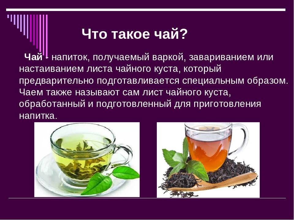 Хвойный чай - секреты полезного напитка