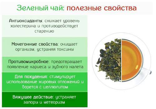Польза зеленого чая для организма женщины