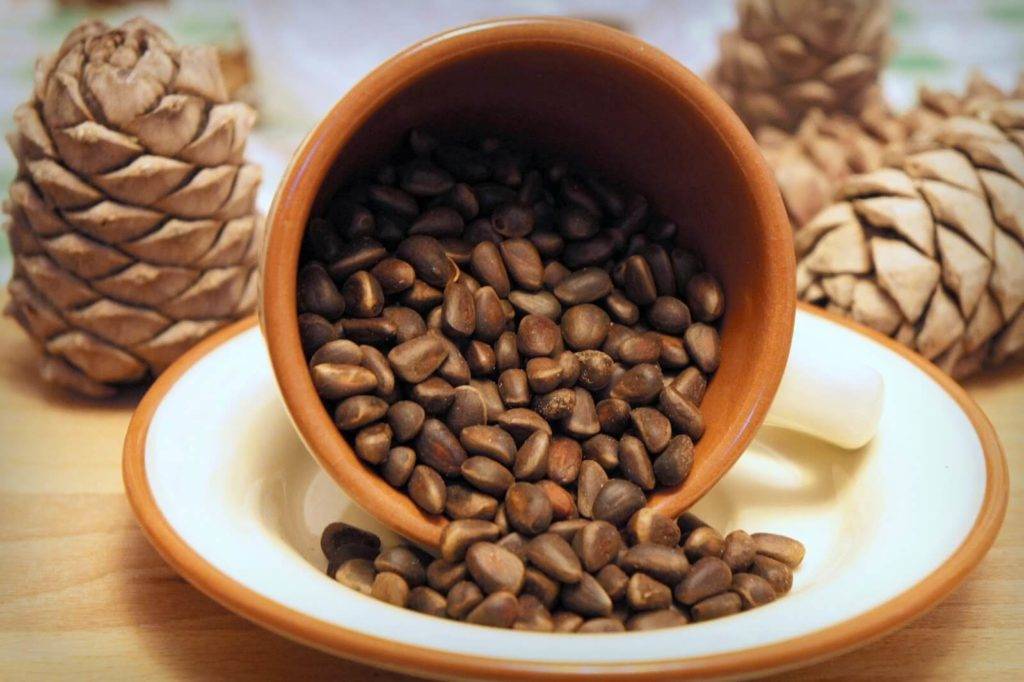 Кедровые орехи: польза и вред, сколько нужно есть в день