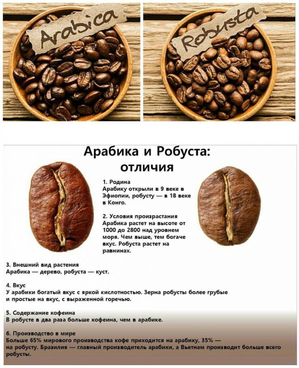 Классификация и виды кофе: виды зерен и степень обжарки