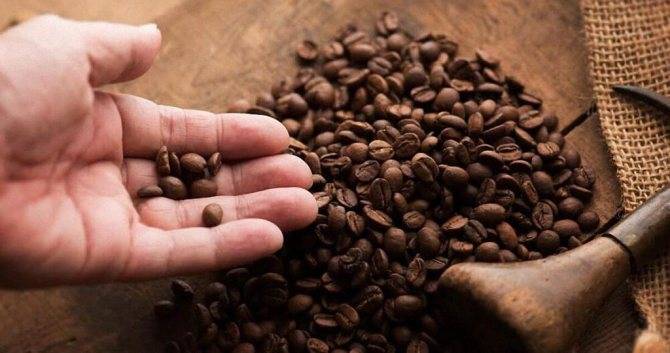 Топ-12 лучших марок зернового кофе: выбираем лучший сорт кофе в зернах
