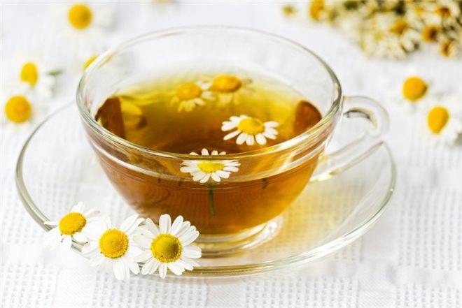 Чай из ромашки – целебный напиток для нашего здоровья