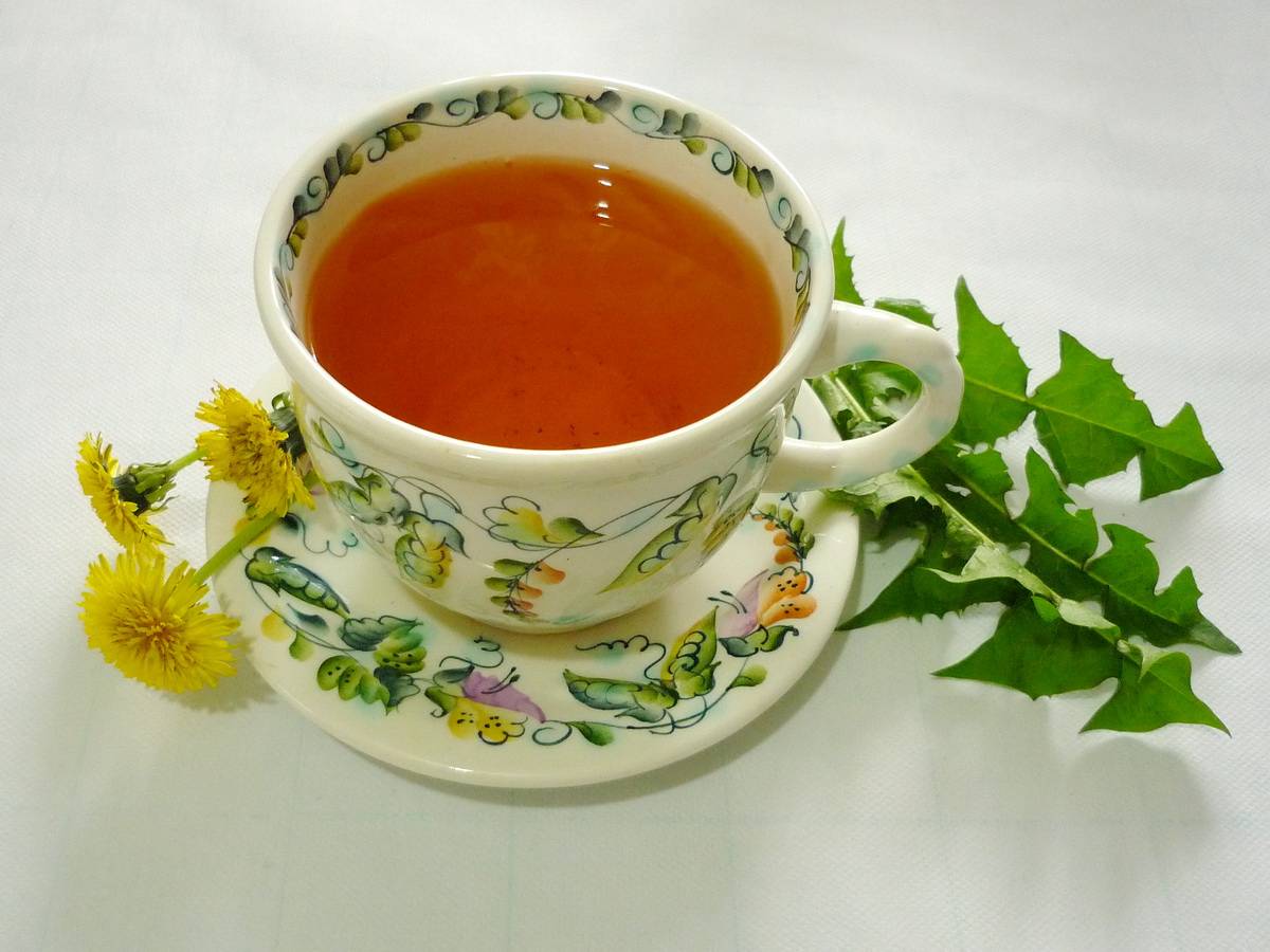 Чай из одуванчиков: состав, польза, рецепты, применение и вред