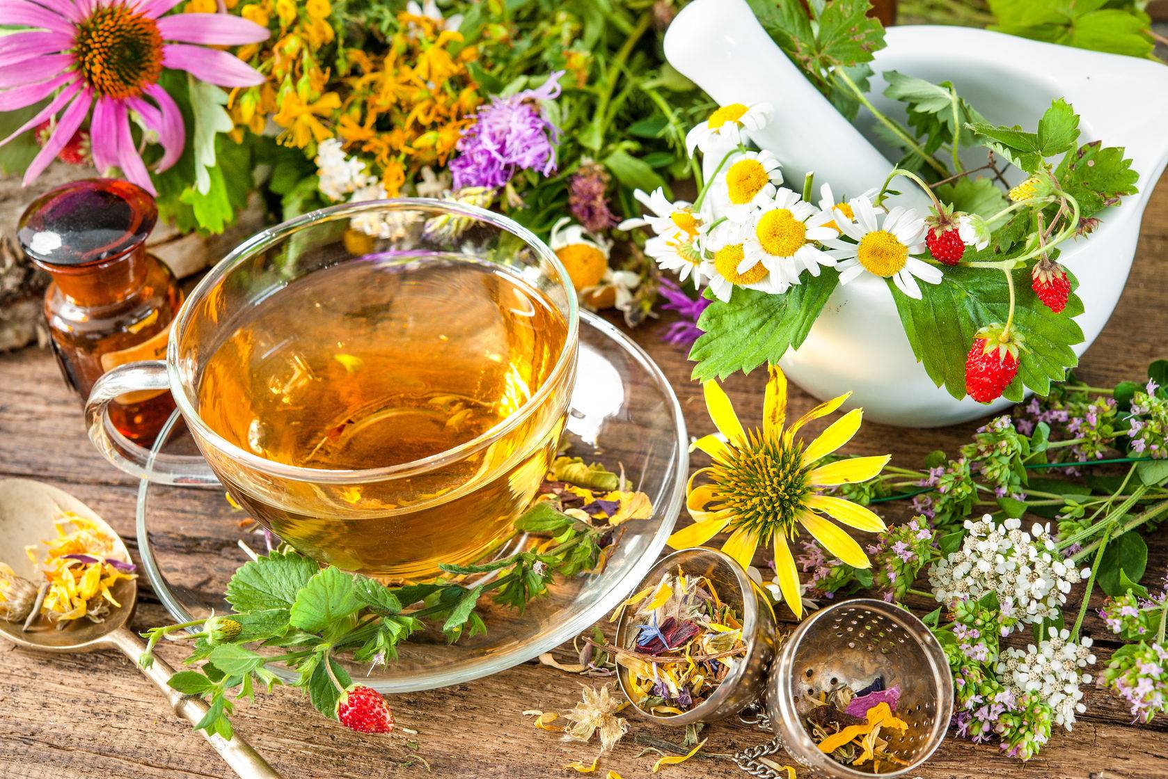 Чай с душицей: рецепты, польза и вред для женщин, мужчин и детей