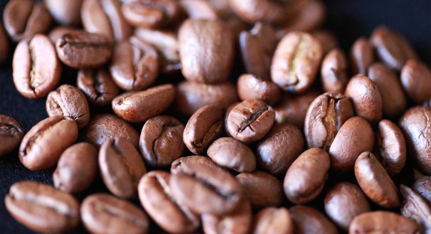 Кофе в танзании: особенности, виды, сорта и регионы