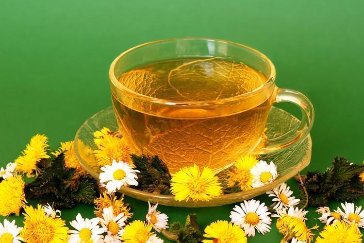Какие травы и сборы рекомендуется использовать для похудения, рецепты чаев для похудения.