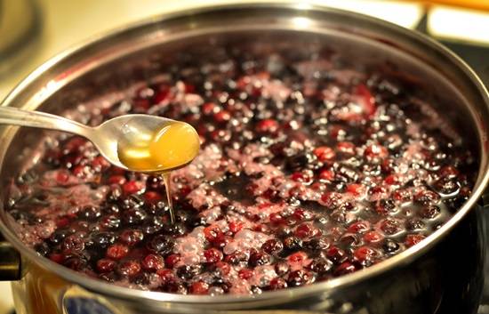 Заготовка черноплодной рябины на зиму: лучшие рецепты, без сахара, без варки