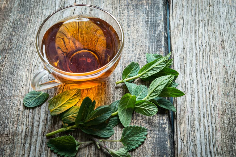 Чай из оливковых листьев излечивает от многих заболеваний! [ рецепт ] - здоровье | доброхаб