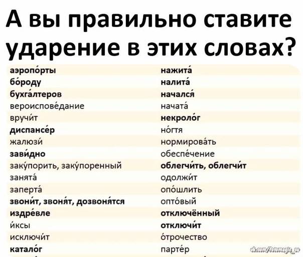 15 ударений в русском языке, которые вас удивят