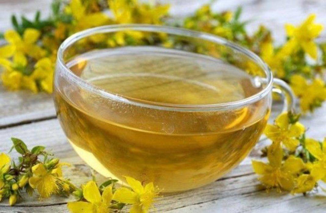 Чай с мятой и зверобоем лечебные свойства