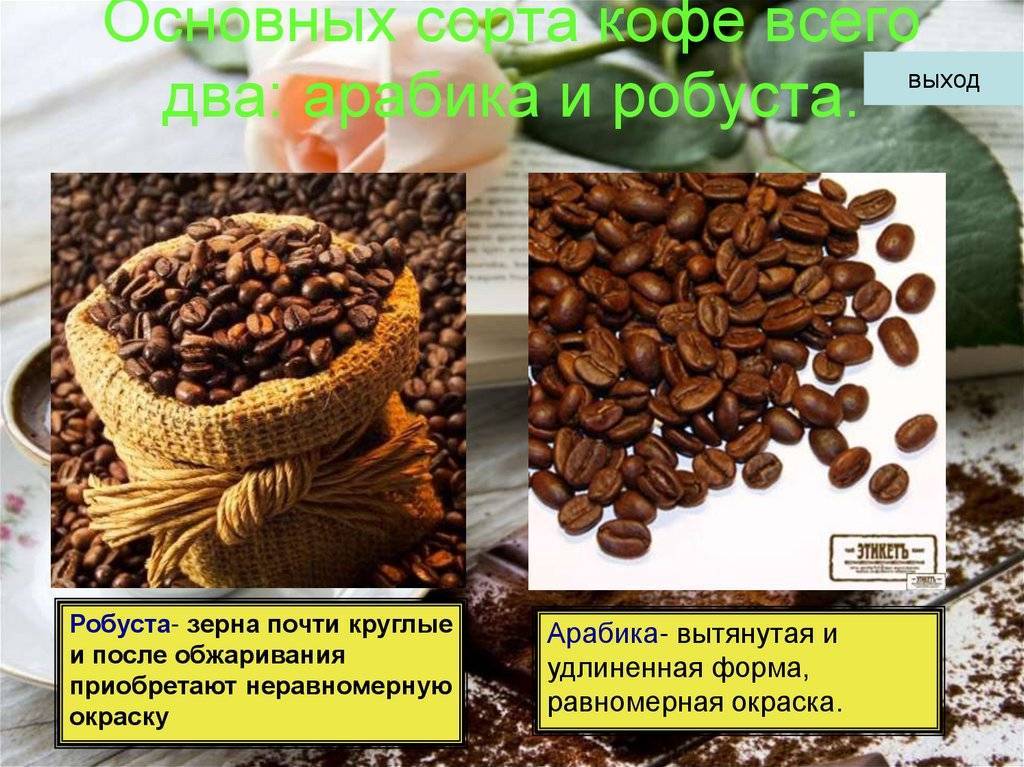 Виды кофе и способы приготовления: разновидности кофейных напитков, состав