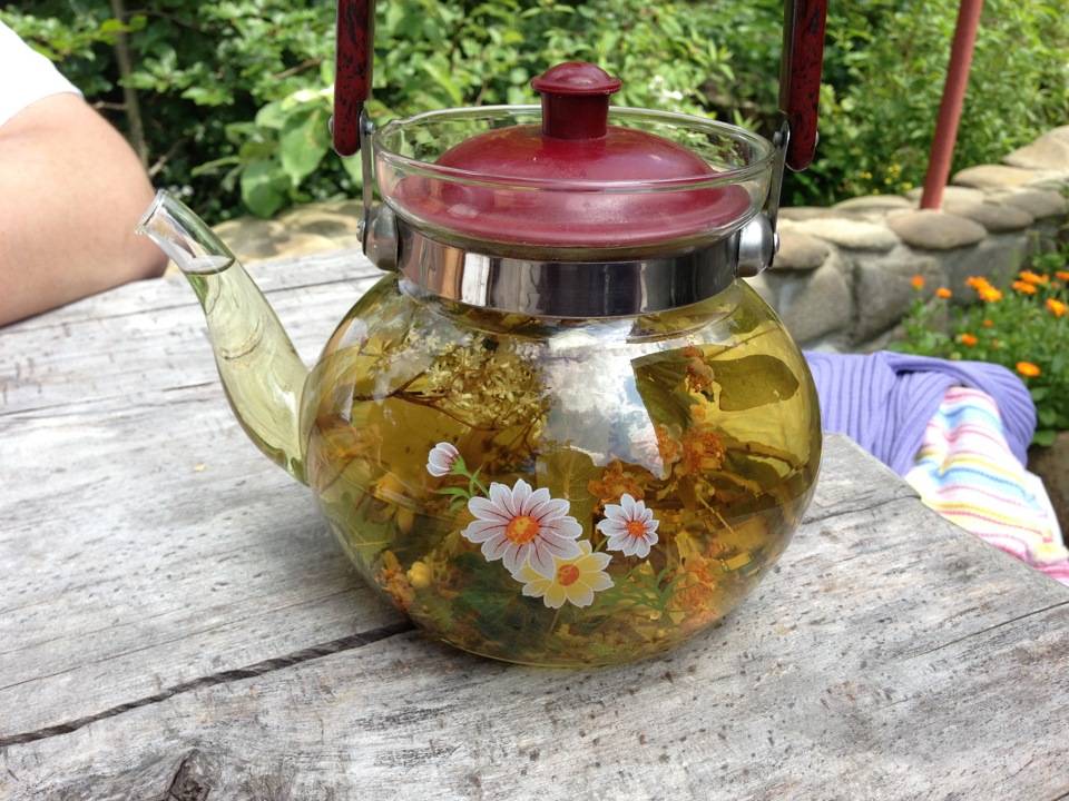 Синий чай из тайланда (анчан):  полезные свойства для мужчин и женщин, противопоказания к употреблению