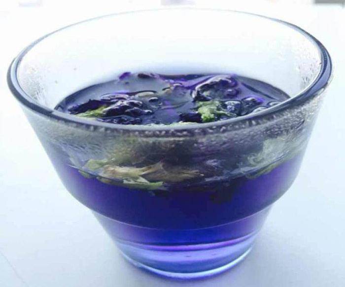 Особенности и полезные свойства синего чая из таиланда