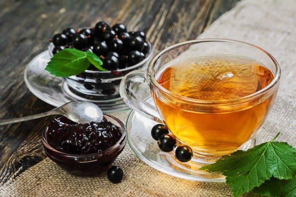 Чай из листьев смородины: польза и вред, показания, рецепты