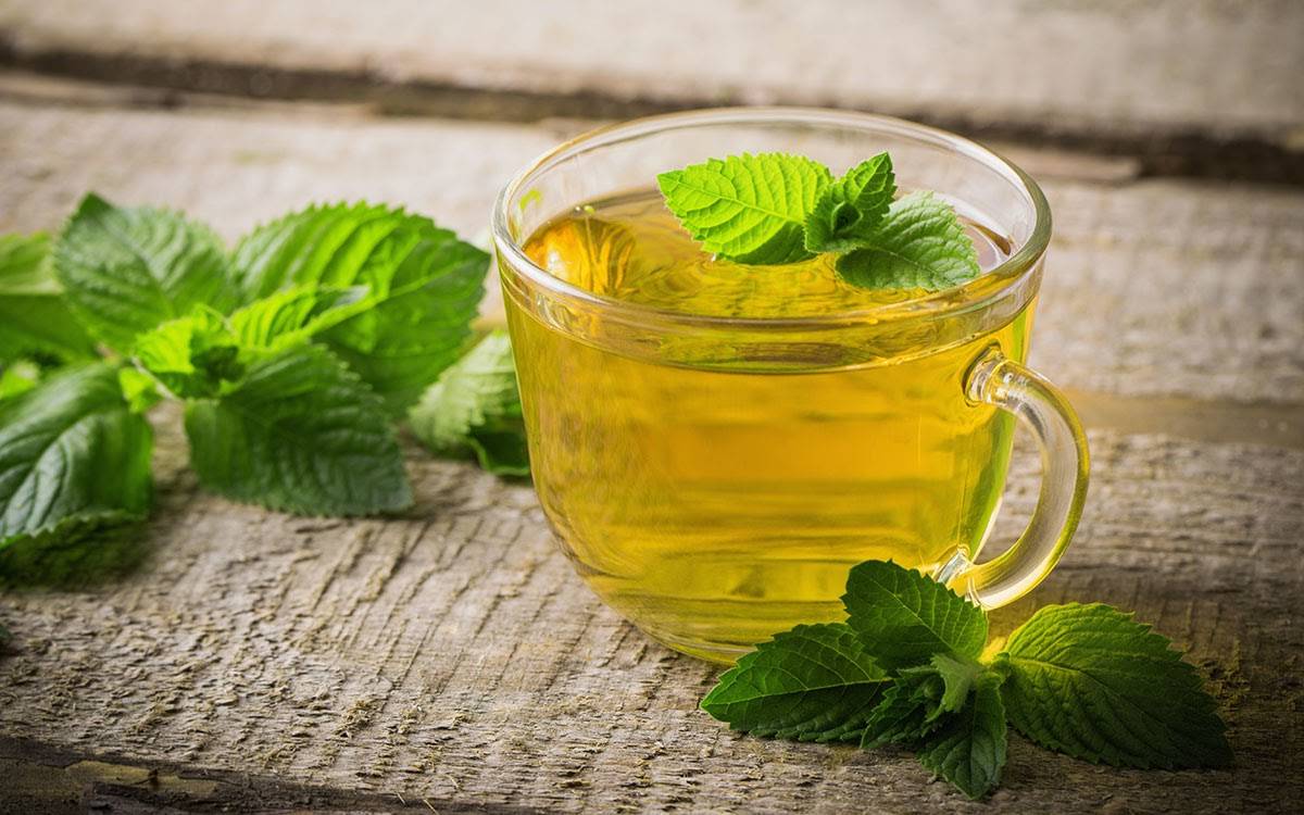 Чай с мелиссой - польза и вред для организма