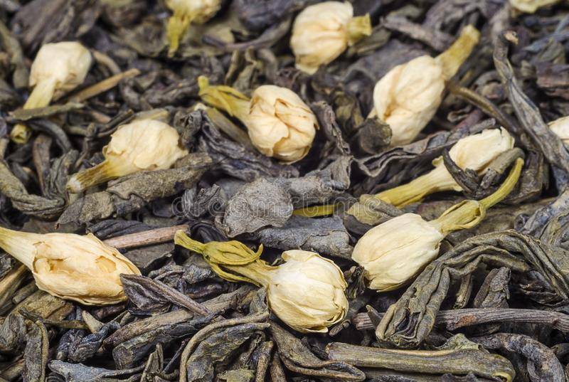 Польза и вред жасминового чая: чем полезен для женщин