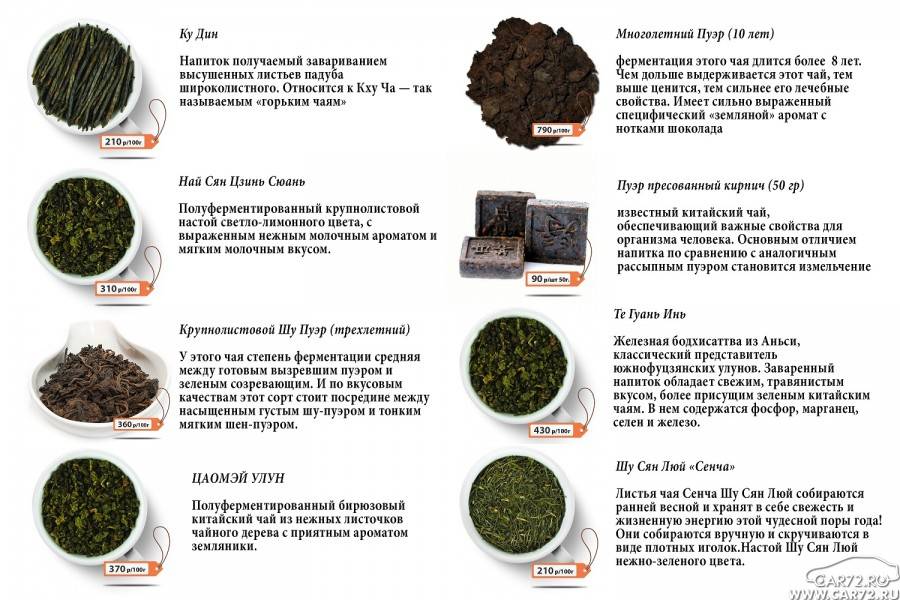 Чай: его виды, особенности сортов, свойства и разновидности (черный, зеленый)