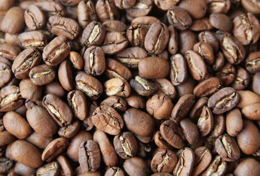 Кофе арабика и робуста мокко: отличия сортов, какой из них лучше