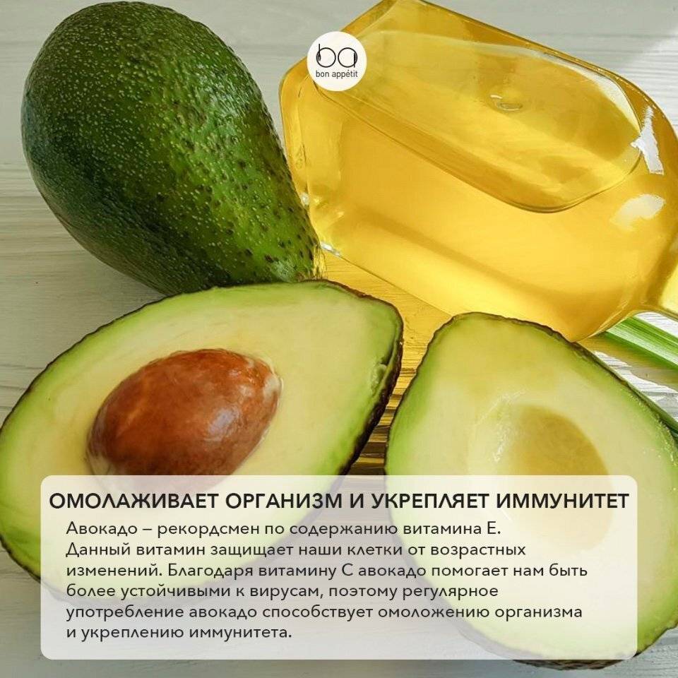 Авокадо - полезные свойства и противопоказания