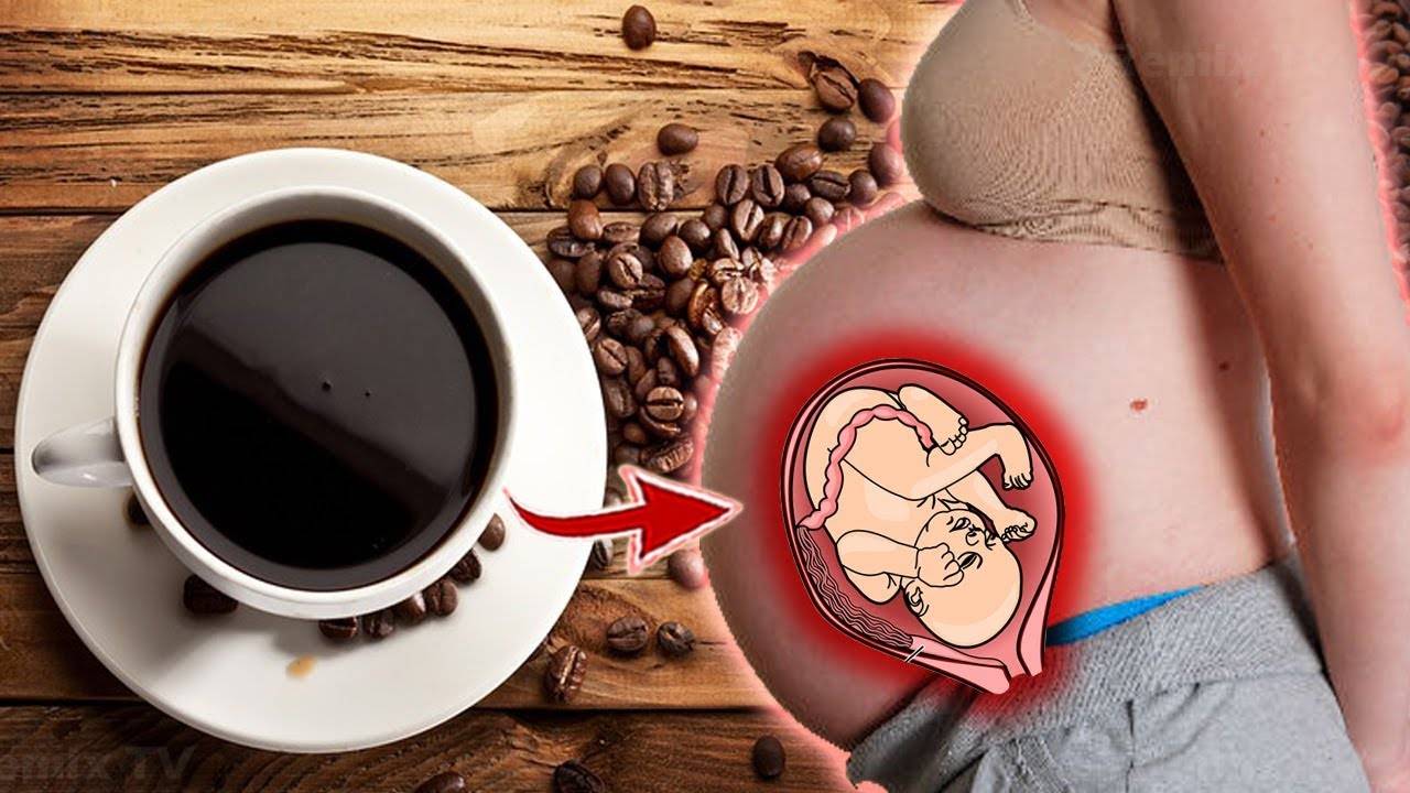 Кофе при беременности – когда и какие количества допустимы