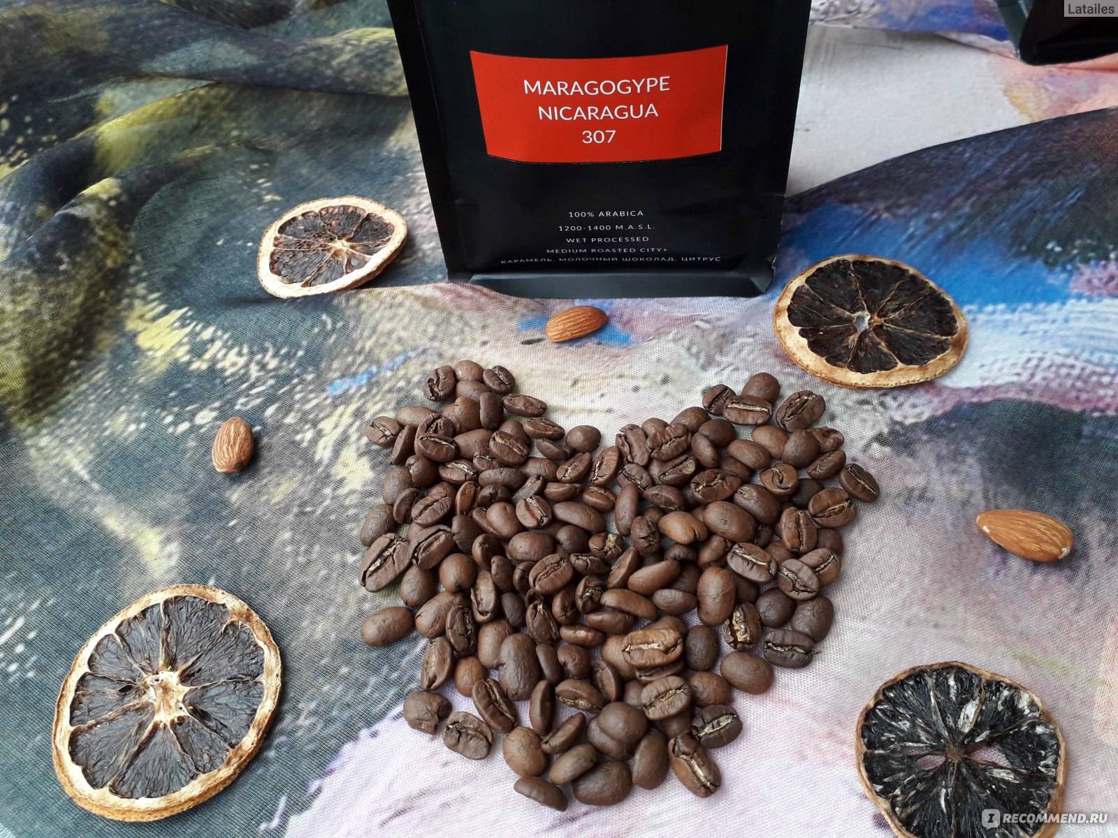 Что такое кофе марагоджип: описание, история, виды, отзывы