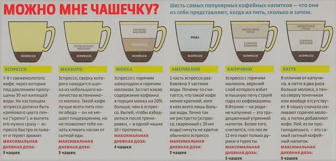Сколько чашек кофе можно пить в день без вреда для здоровья: натурального, растворимого, без кофеина