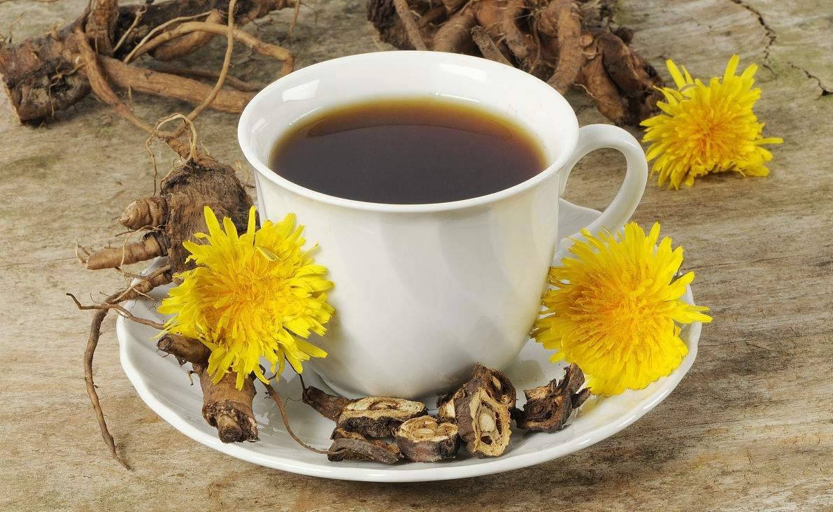 Чай из корня одуванчика: рецепты, польза и вред, как приготовить, свойства
